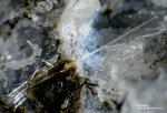 Eifel Mineralien Mendig Britholith