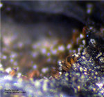 Eifel Mineralien Münsterbusch Stolberg Kupfer