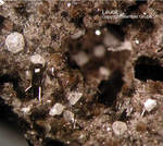 Eifel Mineralien Nickenicher Sattel Leucit