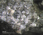Eifel Mineralien Nickenicher Sattel Leucit