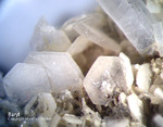 Odenwald Mineralien Nieder-Beerbach Glasberg Baryt