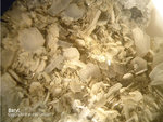Odenwald Mineralien Nieder-Beerbach Glasberg Baryt