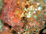 Harz Mineralien Glockenhütte Kupfer