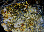 Harz Mineralien Glockenhütte Jarosit