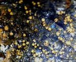 Harz Mineralien Glockenhütte Jarosit
