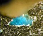 Harz Mineralien Glockenhütte Serpierit