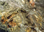 Mineralien Eifel Kall Akermanit