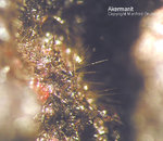 Mineralien Eifel Kall Akermanit