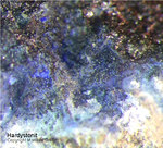 Eifel Mineralien Kall Hardystonit