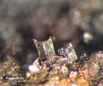Eifel Mineralien Kall Hypersthen