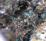 Eifel Mineralien Kall Kassiterit