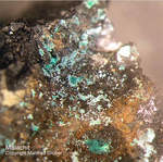 Eifel Mineralien Kall Malachit