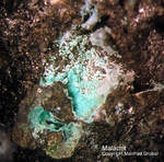 Eifel Mineralien Kall Malachit