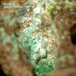 Eifel Mineralien Kall Malachit