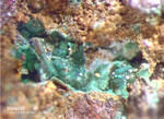 Eifel Mineralien Kall Malachit