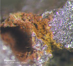 Eifel Mineralien Kall Massicotit