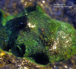 Eifel Mineralien Kall Paratacamit