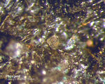 Eifel Mineralien Kall Phosgenit