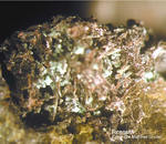 Eifel Mineralien Kall Rosasit