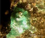 Eifel Mineralien Kall Serpierit