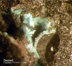 Eifel Mineralien Kall Serpierit