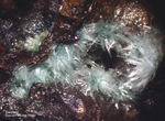 Eifel Mineralien Kall Serpierit