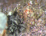 Eifel Mineralien Kall Silber