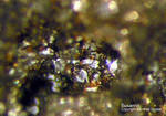 Eifel Mineralien Kall Susannit
