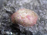 Eifel Mineralien Kall Kupfer