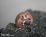 Eifel Mineralien Kall Kupfer