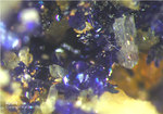 Eifel Mineralien Bleialf Azurit