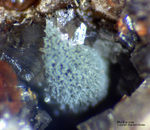 Eifel Mineralien Bellerberg Mullit grün