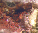 Mineralien Eifel Kall Chalkotrichit
