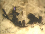 Eifel Mineralien Mendig Klinopyroxen