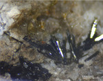 Eifel Mineralien Mendig Klinopyroxen