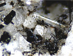 Eifel Mineralien Mendig Klinopyroxen