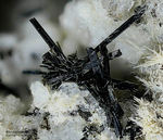 Eifel Mineralien Mendig Klinopyroxen