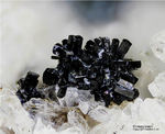 Eifel Mineralien Mendig Klinopyroxen