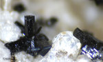 Eifel Mineralien Mendig Klinopyroxen