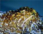 Eifel Mineralien Mendig Klinopyroxen