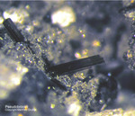 Eifel Mineralien Rothenberg Pseudobrookit
