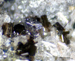 Eifel Mineralien Rothenberg Pseudobrookit