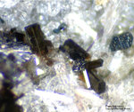 Eifel Mineralien Rothenberg Pseudobrookit