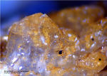 Eifel Mineralien Bleialf Bergkristall