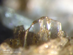 Eifel Mineralien Mendig Sanidin