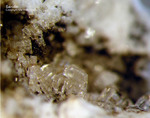Eifel Mineralien Mendig Sanidin
