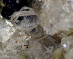 Eifel Mineralien Mendig Sanidin