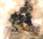 Eifel Mineralien Mendig Wöhlerit