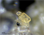 Eifel Mineralien Mendig Wöhlerit