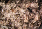 Eifel Mineralien Nickenicher Sattel Nephelin